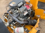 Engine with Exhaust System