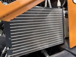 Engine with Radiator