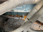 Engine with Oil Leaks