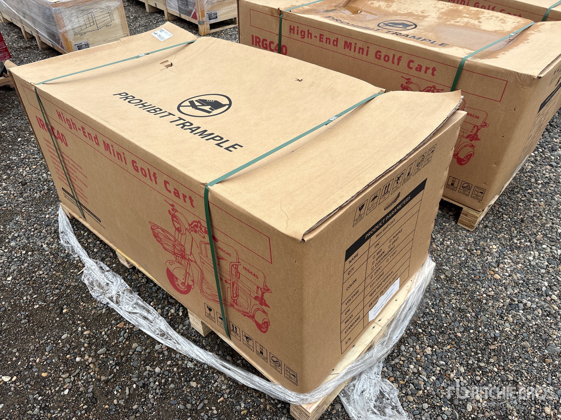 General Appearance with Picture, Right Rear Corner