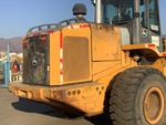 General Appearance with Paint