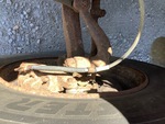 Brakes with