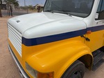 General Appearance with Pintura