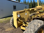 General Appearance with Paint