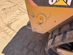 General Appearance with Paint