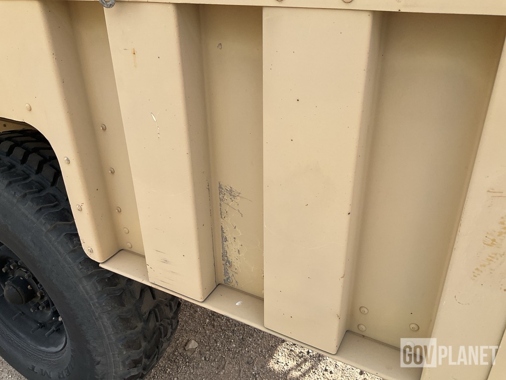 General Appearance with Paint