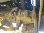 Underbody with Bomba PTO