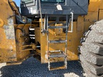 General Appearance with Steps/Ladders