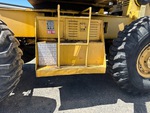 General Appearance with Paint