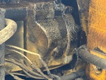 Engine with Oil Leaks