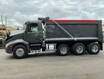 General Appearance with Pintura
