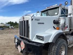 General Appearance with Paint