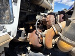 Engine with Exhaust System