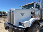 General Appearance with Paint