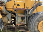 General Appearance with Steps/Ladders