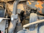 Engine with Oil Leaks