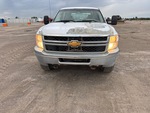 General Appearance with Exterior Lights