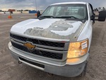 General Appearance with Paint