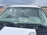General Appearance with Glass