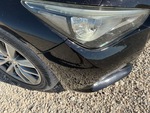 General Appearance with Paint