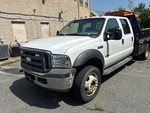 General Appearance with Paint