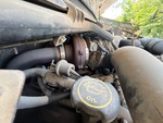 Engine with Exhaust System