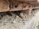 Undercarriage with Right Track Links