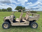 General Appearance with Paint