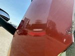 General Appearance with Paint