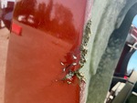 General Appearance with Sheet Metal (fiberglass) Condition