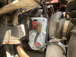 Motore with Exhaust System