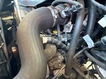 Motore with