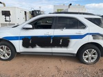 General Appearance with Paint