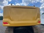 General Appearance with Paint