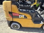 General Appearance with Paint