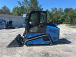 General Appearance with Paint