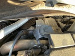 Engine with Exhaust System