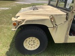 General Appearance with Paint