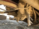 Underbody with