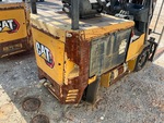General Appearance with Paint