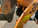 General Appearance with Paint