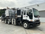 General Appearance with Paint
