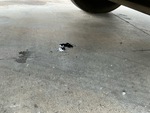 Engine with Oil Leaks