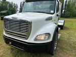 General Appearance with Paint