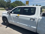 General Appearance with Paint