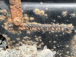 General Appearance with Frame Stamp Serial Number/VIN Photo