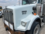 General Appearance with Paint