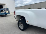 General Appearance with Paint