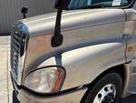 General Appearance with Pintura