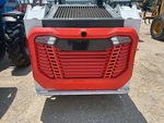 General Appearance with Paint